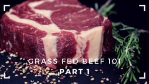 Grass fed beef 101