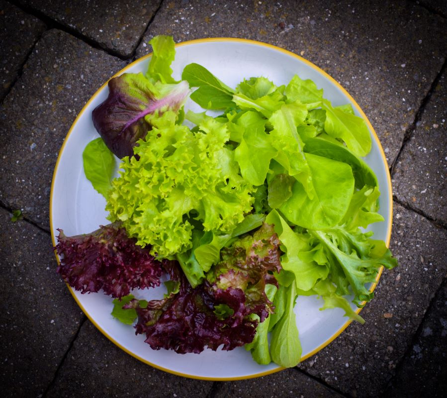 Seasonal mixed salad leaves Nature Way Farm