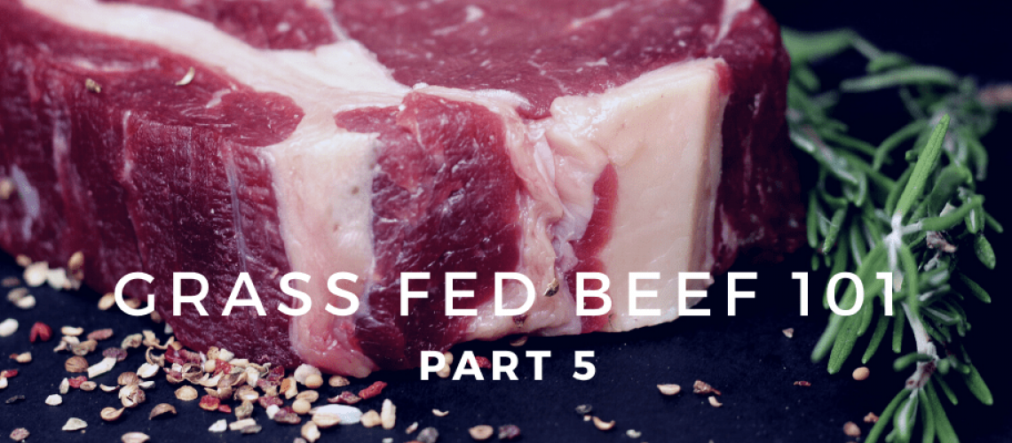 Grass fed beef 101 part 5